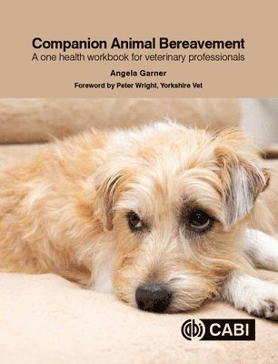 Companion Animal Bereavement 1