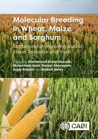 bokomslag Molecular Breeding in Wheat, Maize and Sorghum