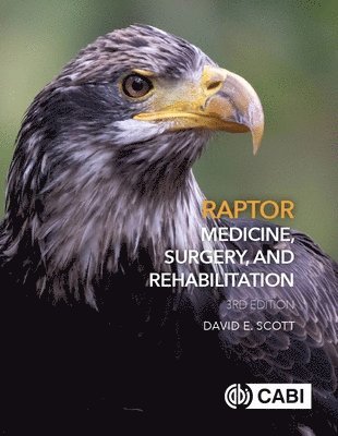 bokomslag Raptor Medicine, Surgery, and Rehabilitation