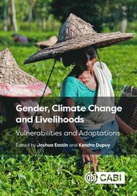 bokomslag Gender, Climate Change and Livelihoods