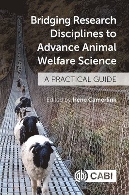 Irene Camerlink - Bridging Research Disciplines to Advance Animal Welfare Science, Inbunden