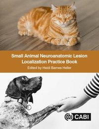 bokomslag Small Animal Neuroanatomic Lesion Localization Practice Book
