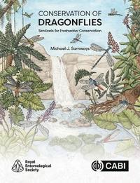 bokomslag Conservation of Dragonflies