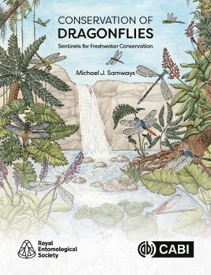 Conservation of Dragonflies 1