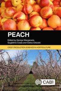 bokomslag Peach