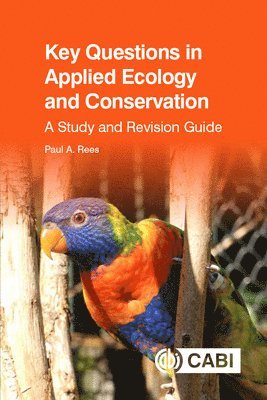 bokomslag Key Questions in Applied Ecology and Conservation