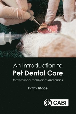 bokomslag Introduction to Pet Dental Care, An