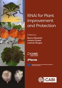 bokomslag RNAi for Plant Improvement and Protection