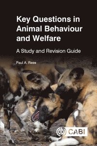 bokomslag Key Questions in Animal Behaviour and Welfare