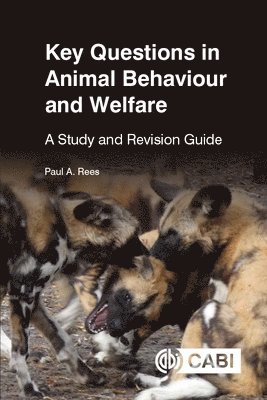 Paul Rees - Key Questions in Animal Behaviour and Welfare, Häftad