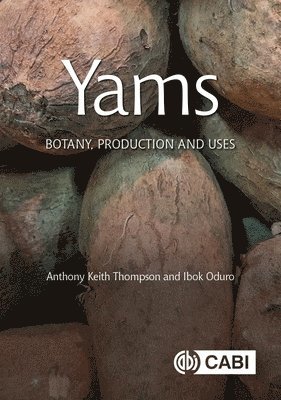 bokomslag Yams
