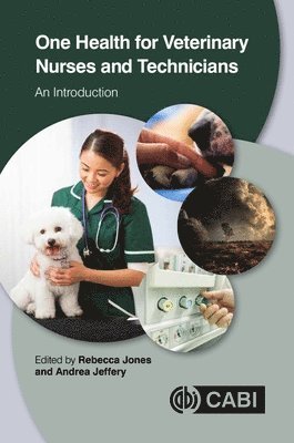 Rebecca Jones, Andrea Jeffery - One Health for Veterinary Nurses and Technicians, Häftad