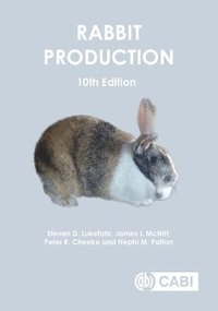 bokomslag Rabbit Production