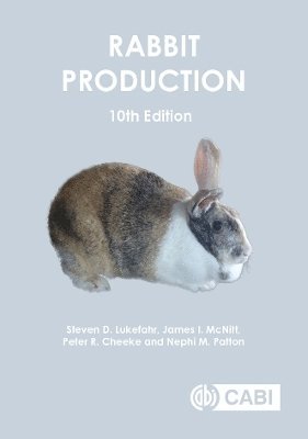 Rabbit Production 1