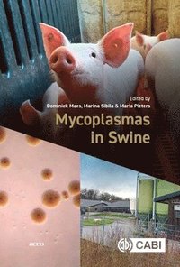 bokomslag Mycoplasmas in Swine