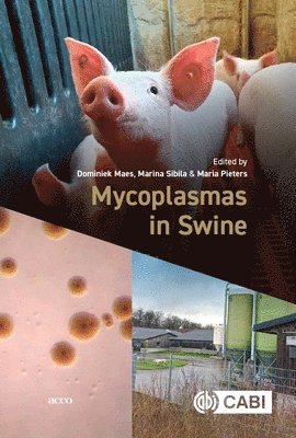 Mycoplasmas in Swine 1