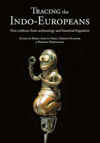 bokomslag Tracing the Indo-Europeans