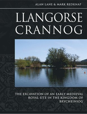 bokomslag Llangorse Crannog