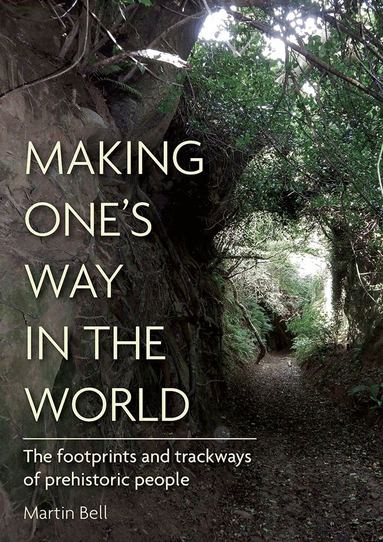 Martin Bell - Making One's Way in the World, Inbunden