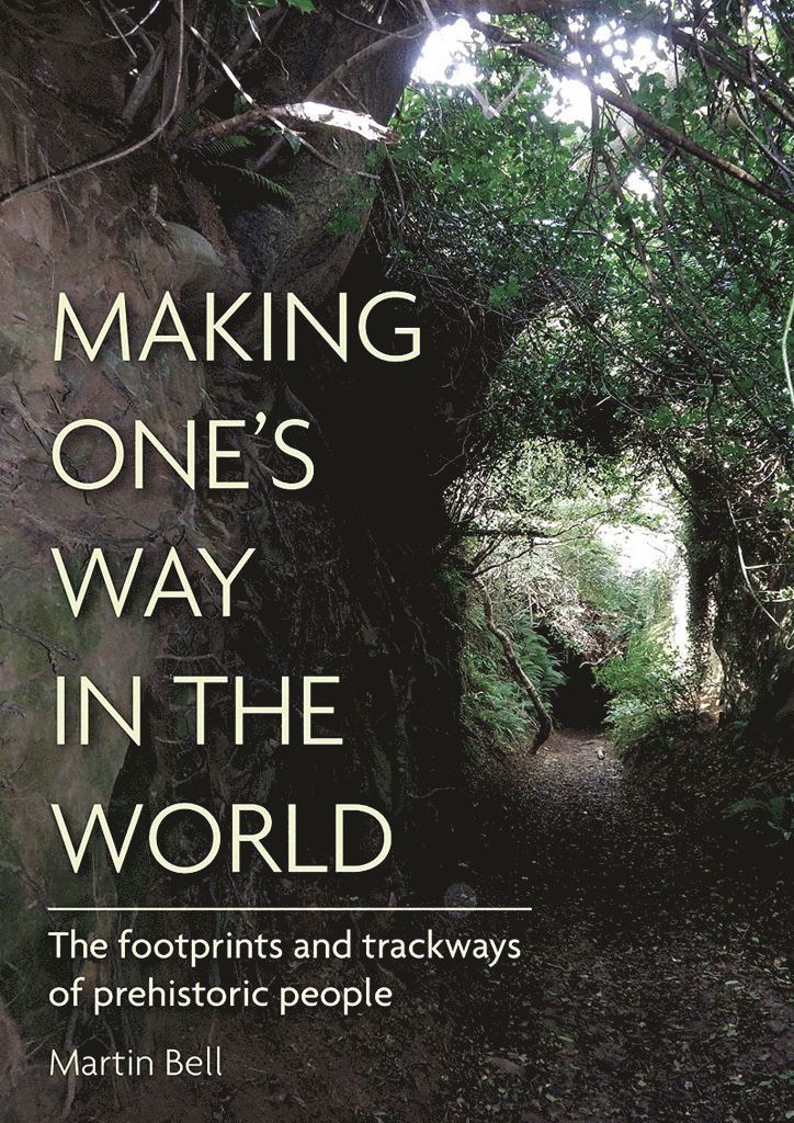 Martin Bell - Making One's Way in the World, Inbunden