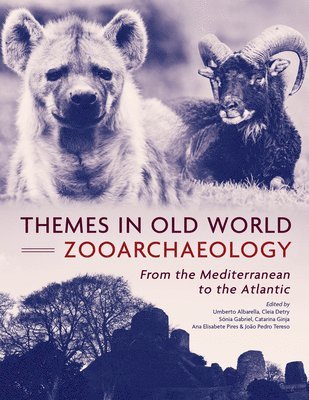 bokomslag Themes in Old World Zooarchaeology