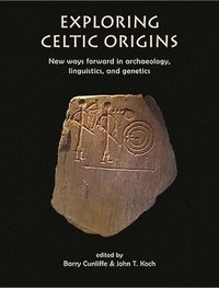 bokomslag Exploring Celtic Origins
