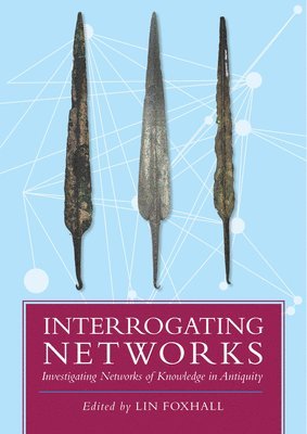 bokomslag Interrogating Networks