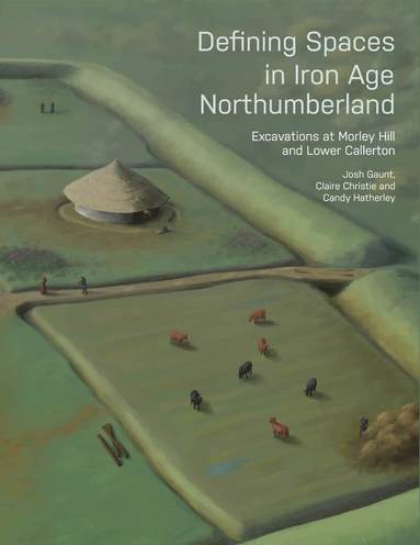 bokomslag Defining Spaces in Iron Age Northumberland