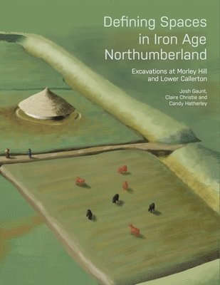 Defining Spaces in Iron Age Northumberland 1