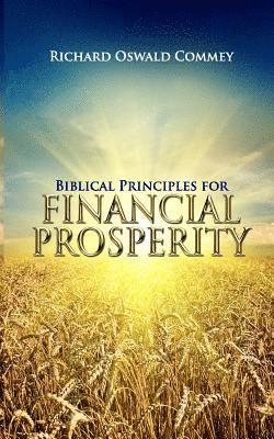 bokomslag Biblical Principles for Financial Prosperity