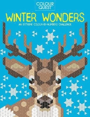 Colour Quest: Winter Wonders 1