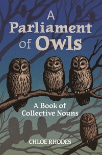 bokomslag A Parliament of Owls