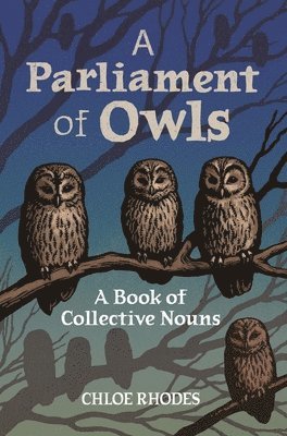 Chloe Rhodes - Parliament of Owls, Inbunden