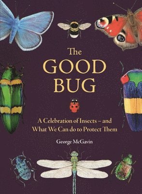 bokomslag The Good Bug