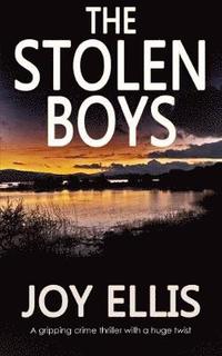 bokomslag The Stolen Boys