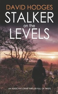 bokomslag STALKER ON THE LEVELS an addictive crime thriller full of twists