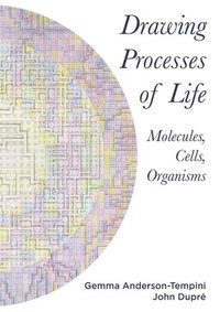 bokomslag Drawing Processes of Life