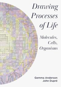 bokomslag Drawing Processes of Life