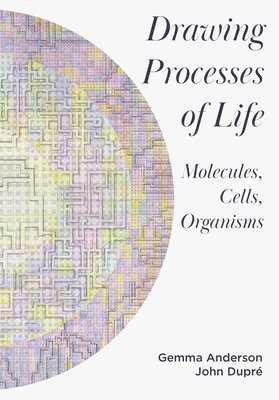 bokomslag Drawing Processes of Life