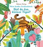 Mein buntes Gucklochbuch: Bist du das, kleiner Tiger? 1
