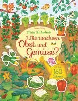 Hannah Watson - Mein Stickerbuch: Wie wachsen Obst und Gemüse?, Häftad