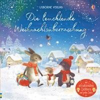 bokomslag Die leuchtende Weihnachtsüberraschung