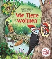 bokomslag Naturwissen aufgedeckt! Wie Tiere wohnen