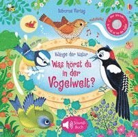 bokomslag Klänge der Natur: Was hörst du in der Vogelwelt?