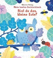 bokomslag Mein buntes Gucklochbuch: Bist du das, kleine Eule?