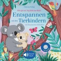 bokomslag Entspannen mit den Tierkindern