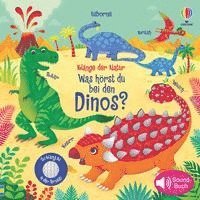 bokomslag Klänge der Natur: Was hörst du bei den Dinos?