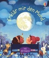 bokomslag Erklär mir den Mond