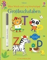 bokomslag Mein Wisch-und-weg-Vorschulspaß: Großbuchstaben