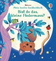 bokomslag Mein buntes Gucklochbuch: Bist du das, kleine Fledermaus?